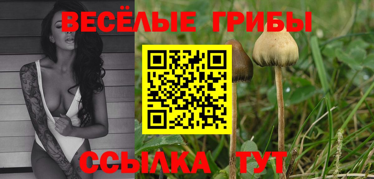 Галлюциногенные грибы мухоморы  Псилоцибиновые грибы GOLDEN TEACHER  Вход с VPN  хочу   Волгоград 